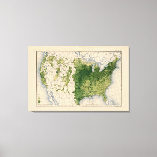 147 Rinder/Quadratmeilen Leinwanddruck