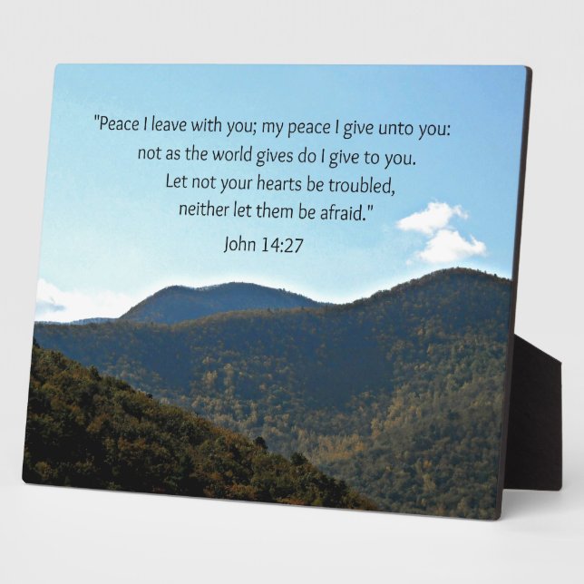 14:27 FOTOPLATTE (Seite)