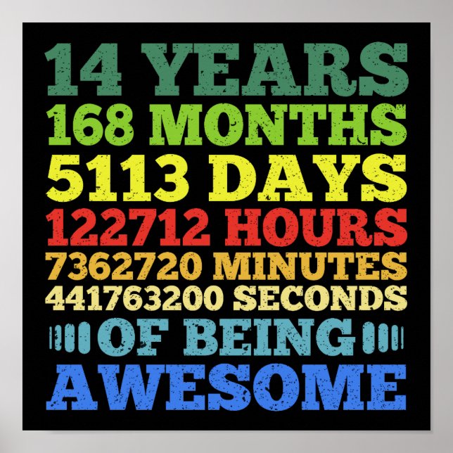 14. Geburtstag 14 Jahre Vintag 168 Monate Poster (Vorne)