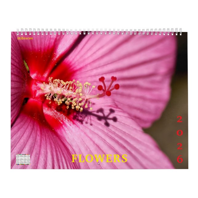 14 photos of flowers kalender (Titelbild)