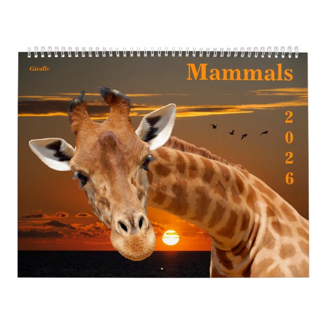 14 photos of mammals kalender (Titelbild)