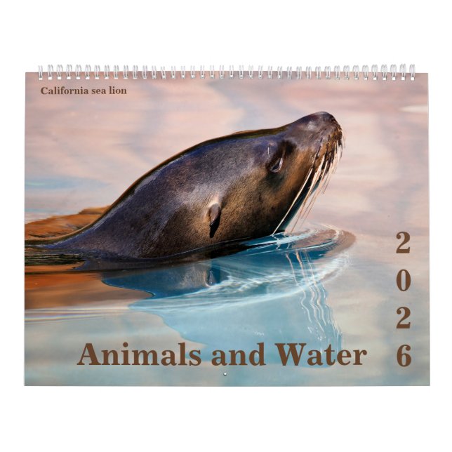 14 photos os animals and water kalender (Titelbild)