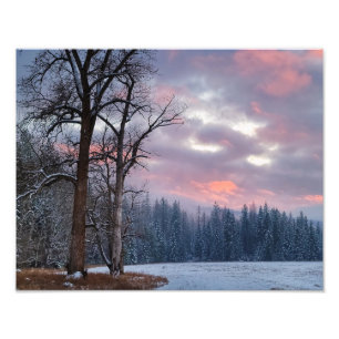 14"x11" Foto drucken     Cottonwood Sunset