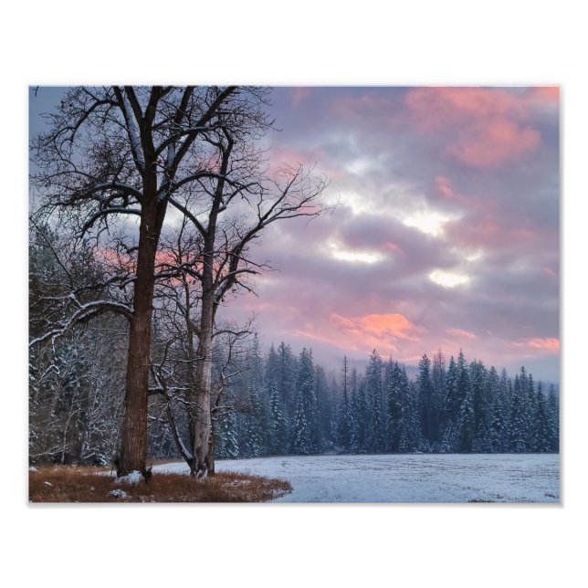 14"x11" Foto drucken | | Cottonwood Sunset (Vorne)