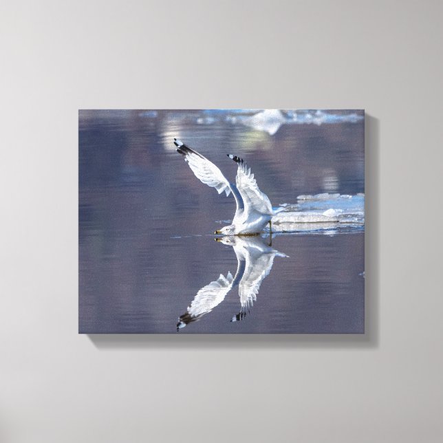 14x11 glatte Reflektionen Leinwanddruck (Vorderseite)