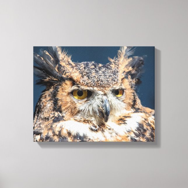 14x11 Großes Horned Owl Portrait Leinwanddruck (Vorderseite)