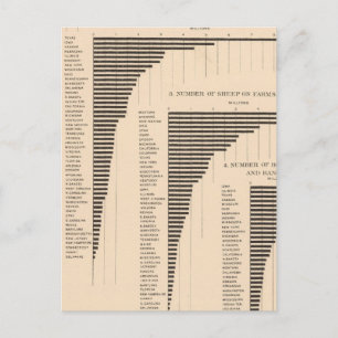 150 Schweine, saubere Rinder, Schafe, Pferde Postkarte