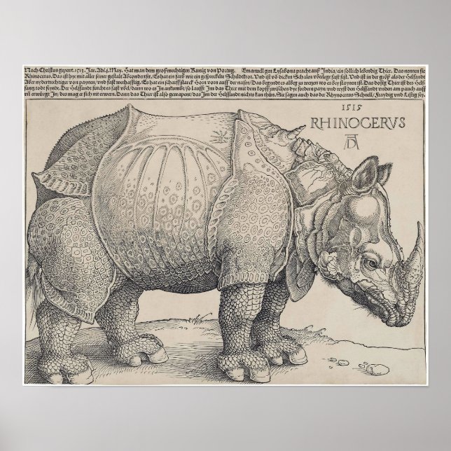1515 DURER-RHINOCERUS POSTER (Vorne)