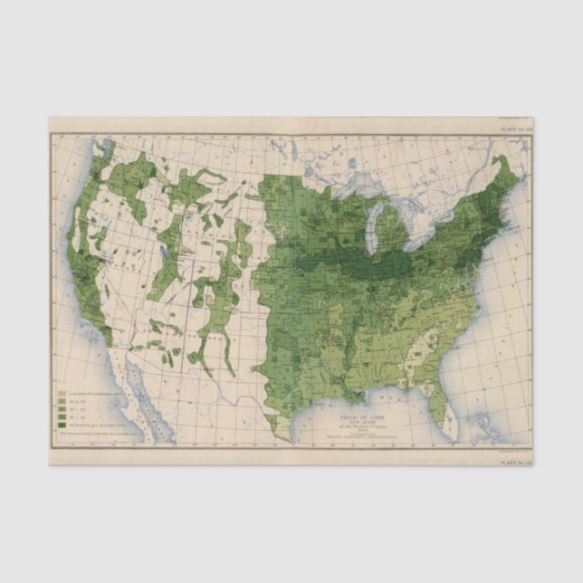 155 Mais/Morgen Seidenpapier (Vorderseite)