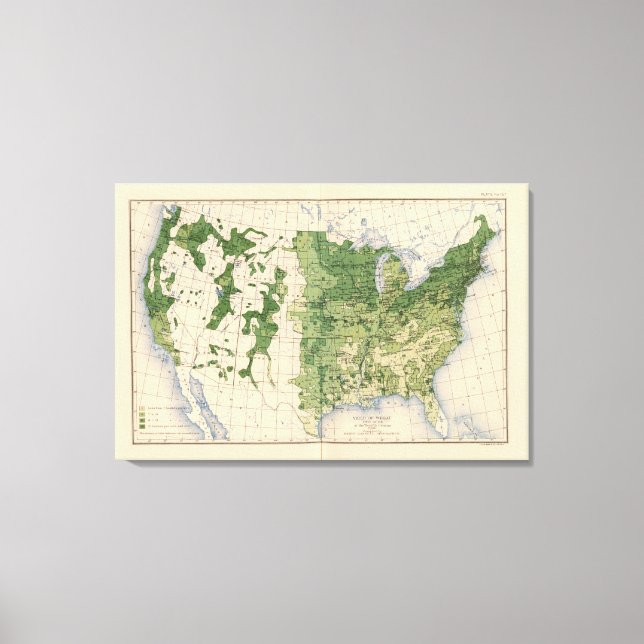 157 Weizen/Acre Leinwanddruck (Vorderseite)