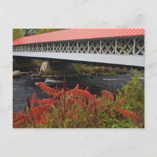 159-Fuß-Ashuelot Covered bridge überspannt Postkarte
