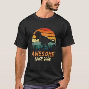 15. Geburtstag Dinosaurier 15 Jahre Jungen Phantas T-Shirt