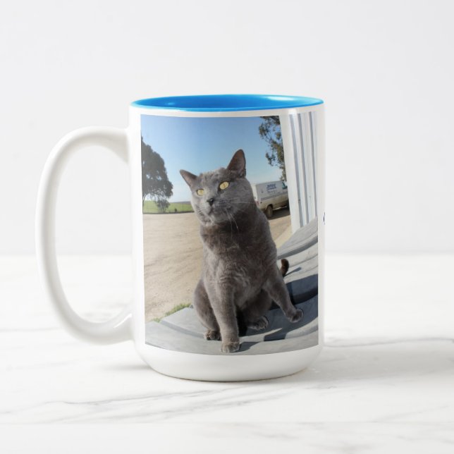 15 Unze. Katzen-Tasse Zweifarbige Tasse (Links)