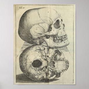 1616 Vintag Skulls Anatomie drucken Poster