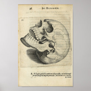1616 Vintage Schädelanatomie drucken Poster