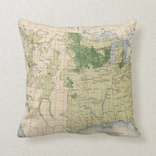 161 Barley/sq Meile Kissen