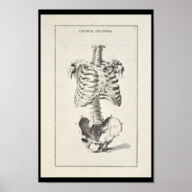 1691 Künstlerische Anatomie Skeleton Art Print Poster (Vorne)