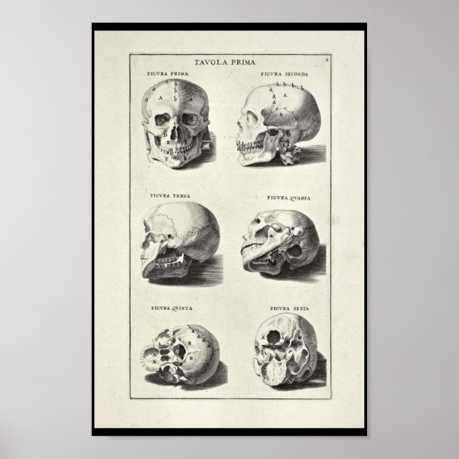 1691 Künstlerische Anatomie Skull Art Print Poster (Vorne)