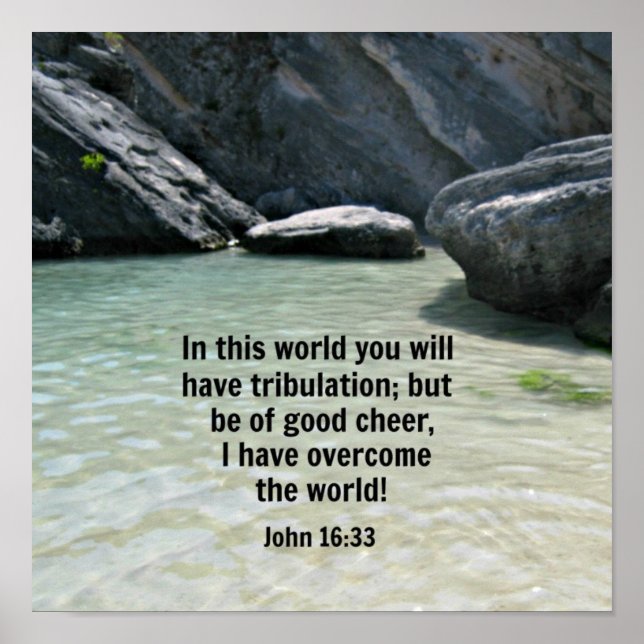 16:33 POSTER (Vorne)