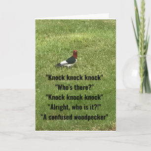 *16. GEBURTSTAG* AUS DER KONFUSIERTEN WOODPECKER-K KARTE