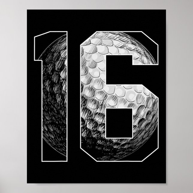 16. Geburtstag Boy Golf Player Golf 16 Jahre alt Poster (Vorne)
