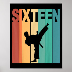 16. Geburtstag Karate Taekwondo Thema 16 Jahre alt Poster