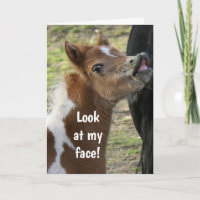 **16. GEBURTSTAG** ÜBERLAUFENE PONY-Karte
