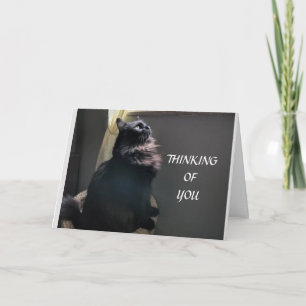 **16. GEBURTSTAG** ZU EINEM SPEZIELLEN TEENAGER KARTE