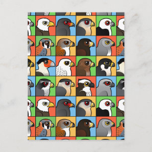 16 Nordamerikanische Raptor-Profile (gekachelt) Postkarte