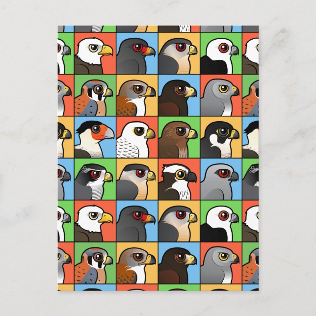 16 Nordamerikanische Raptor-Profile (gekachelt) Postkarte (Vorderseite)
