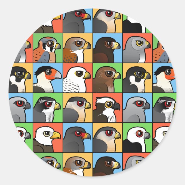 16 Nordamerikanische Raptor-Profile (gekachelt) Runder Aufkleber (Vorderseite)