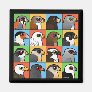 16 nordamerikanische Raubvogel-Profile Magnet