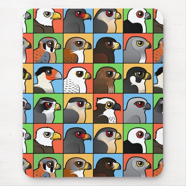 16 nordamerikanische Raubvogel-Profile (mit Mousepad (Vorne)