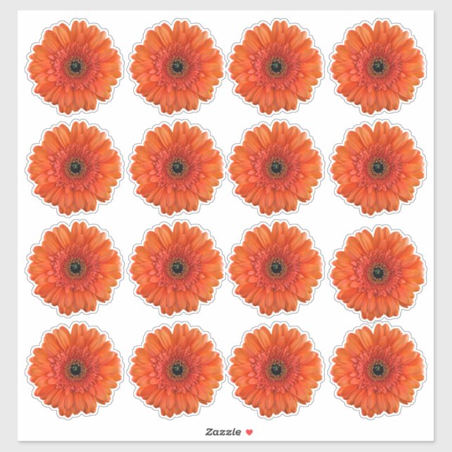 16 Orange Gerbera Daisy Blume Kiss-Cut Stickers Aufkleber (Blatt)
