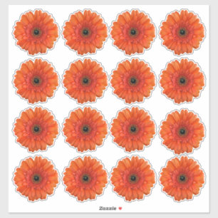 16 Orange Gerbera Margerite Flower Kiss-Cut Aufkle Aufkleber