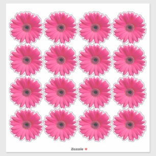 16 Pink Gerbera Daisy Blume Kiss-Cut Stickers Aufkleber