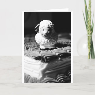 16. Schaf-Geburtstag Karte