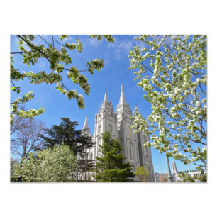 16" Tempel X12" Salt Lake City LDS Fotodruck
