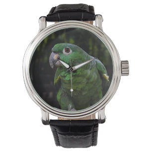 16 WATCH-Papagei Armbanduhr