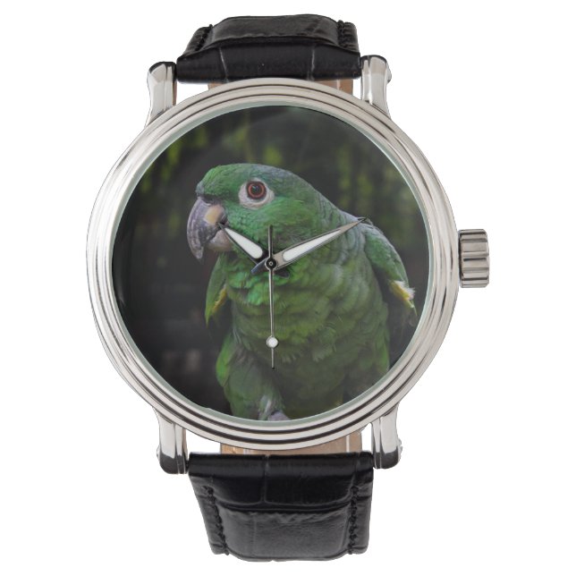 16 WATCH-Papagei Armbanduhr (Vorderseite)