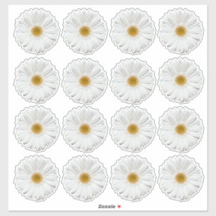 16 weiße Gerbera-Margerite-Blumen-Kiss-Cut-Aufkleb Aufkleber