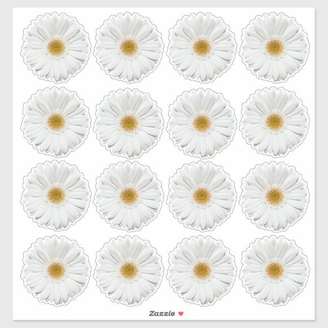 16 White Gerbera Daisy Blume Kiss-Cut Stickers Aufkleber (Blatt)