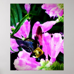16" x 20" Poster (Halbschall)BienenAugen Sammlung
