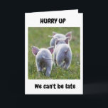 **16th BIRTHDAY** FROM RUNAWAY FUN LOVING PIGS Karte<br><div class="desc">ICH HABE DIESES FOTO GENUG GENUG GENOMMEN UND DIESE KARTE GEMACHT,  WEIL ICH "WISSEN",  DASS JEMAND "ES AUCH LIEBE" MACHEN WIRD,  UND ICH HOFFE,  DASS SIE GENUG SIND,  ES EINEM FREUND ODER FAMILIENMITGLIED ZU SENDEN ODER ZU GEBEN :)</div>