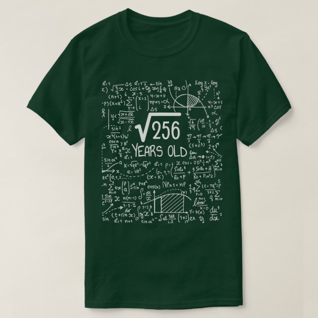 16th Birthday Square Root of 256 16 Years Old  T-Shirt (Design vorne)