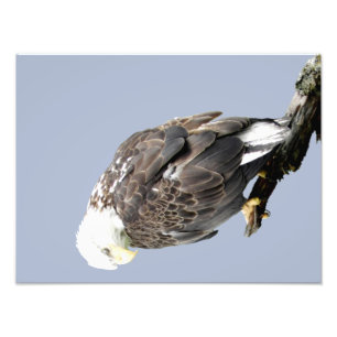 16x12 Kodak berufliches Foto-Papier (Satin) Fotodruck