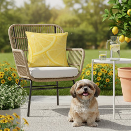 16x16 Gelbe Meyer Lemon Print Outdoor Pillow Kissen