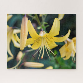 16x20, 520 Stück, Puzzle