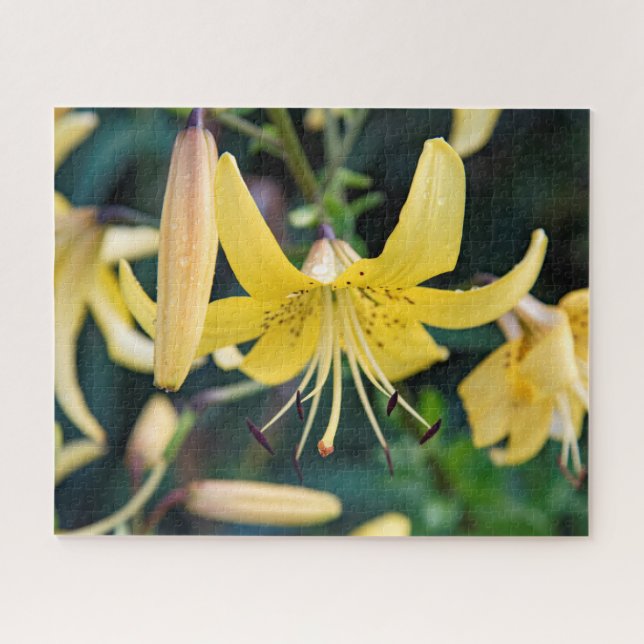 16x20, 520 Stück, Puzzle (Horizontal)