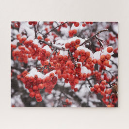 16x20, 520 Stück, Puzzle